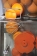 Automatische Citruspers / Sinaasappelpers