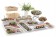 Gastronorm trays met slanke rand, HENDI, GN 1/1, 530x325x(H)20mm Gastronorm trays met slanke rand, HENDI, GN 1/1, 530x325x(H)20mm