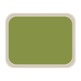 Roltex America Polyester Dienblad 46 x 36cm Groen