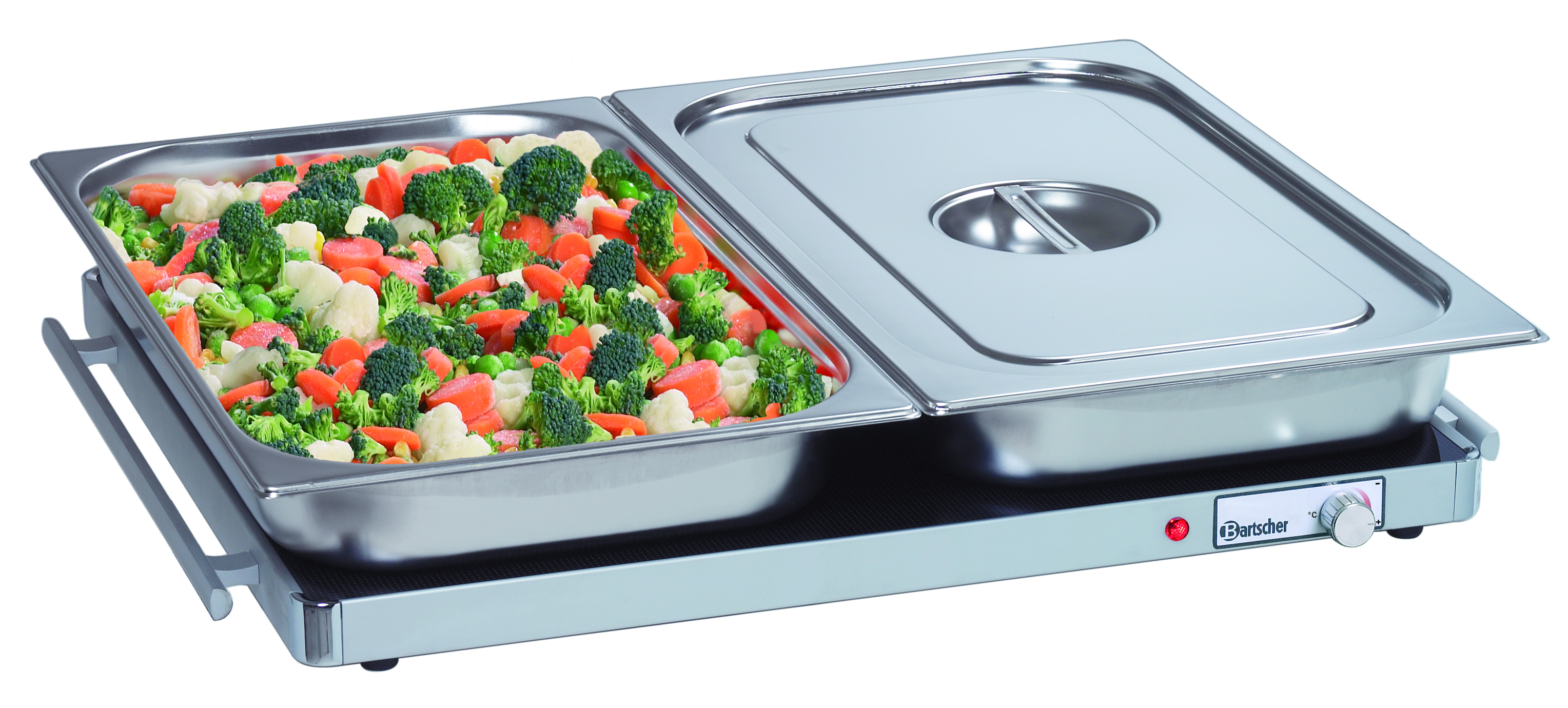 Warmhoudplaat WP300 2/1 Warmhoudplaat WP300 2/1