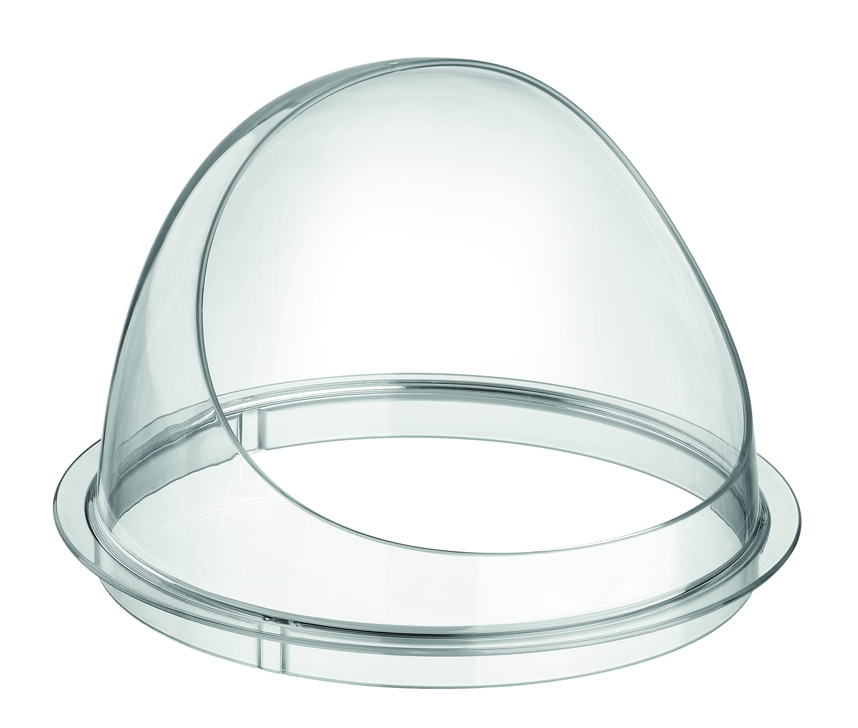 Spatrand Joy Spatrand Joy