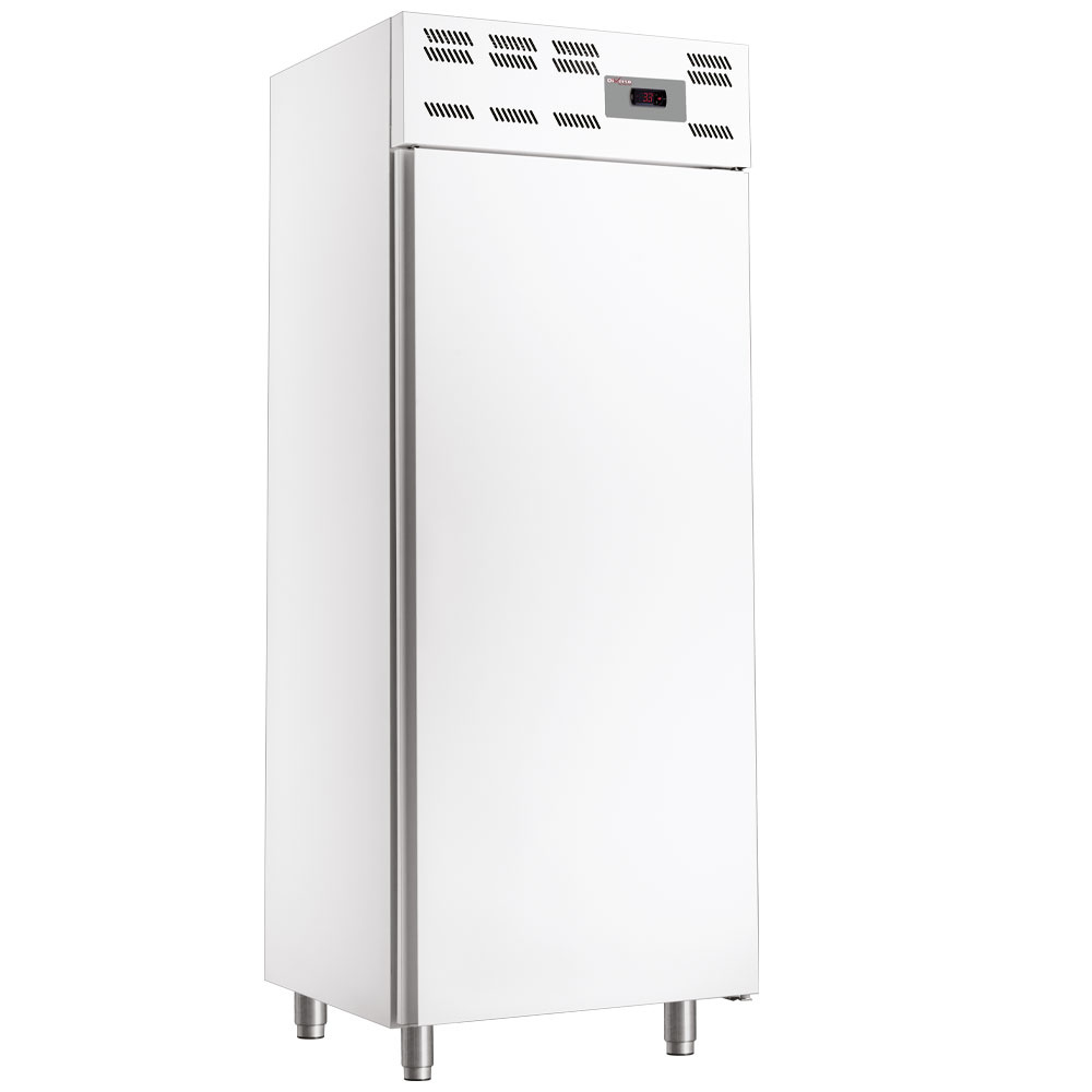 Vrieskast , 20x EN 600x400, statisch, (500 Lit.) - Skinplate wit Vrieskast , 20x EN 600x400, statisch, (500 Lit.) - Skinplate wit