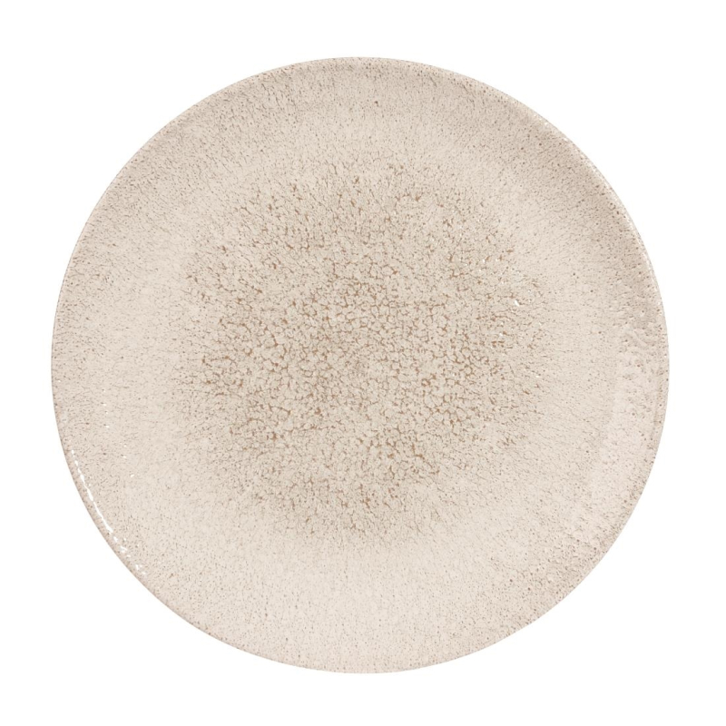 Churchill Raku Agate Grey Evolve coupe bord 26 cm pak van 12 Churchill Raku Agate Grey Evolve coupe bord 26 cm pak van 12