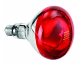 Infraroodlamp IWL250D